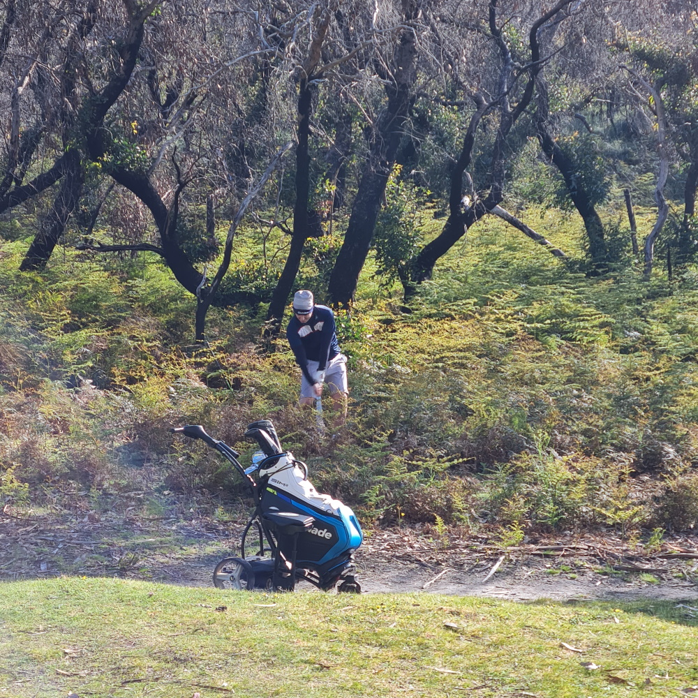 Anglesea — Photo 4